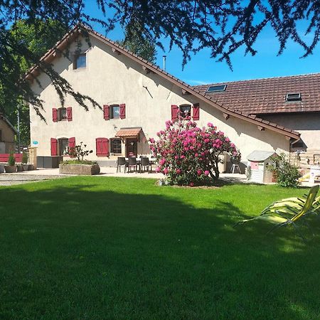 Gite Belle Fleur 6 Personnes- Vosges Saint-Nabord Zewnętrze zdjęcie
