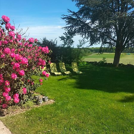 Gite Belle Fleur 6 Personnes- Vosges Saint-Nabord Zewnętrze zdjęcie