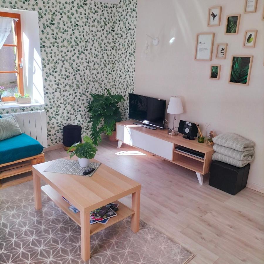 Gite Belle Fleur 6 Personnes- Vosges Saint-Nabord Zewnętrze zdjęcie