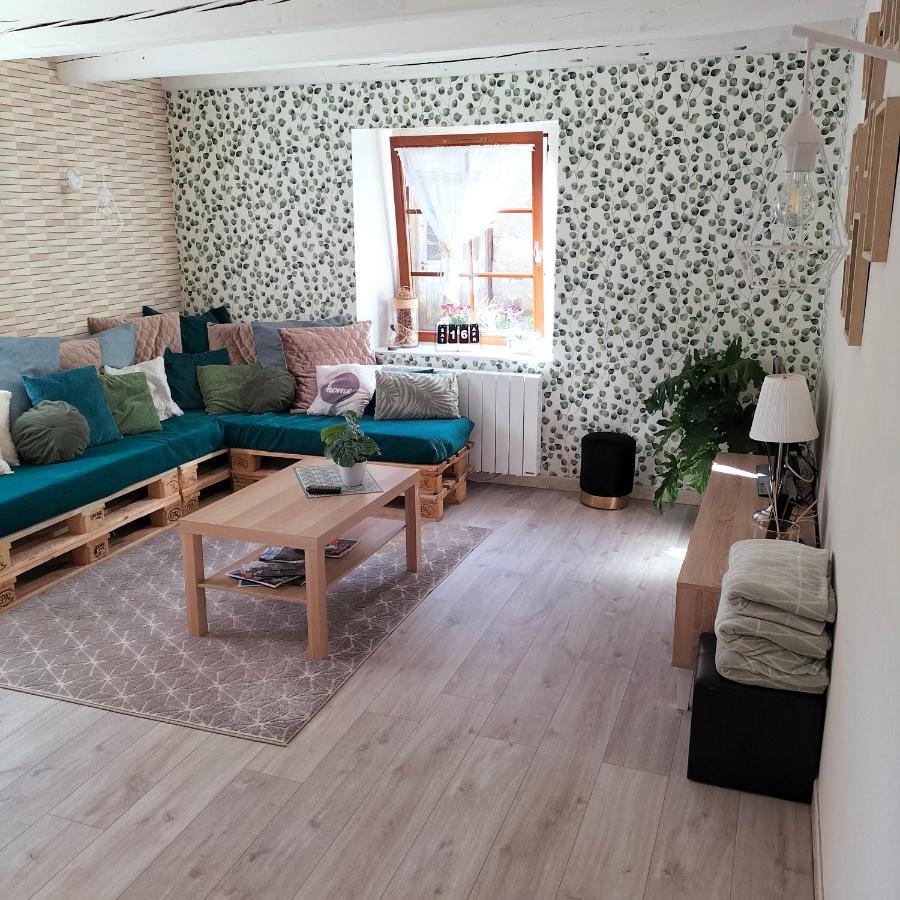 Gite Belle Fleur 6 Personnes- Vosges Saint-Nabord Zewnętrze zdjęcie