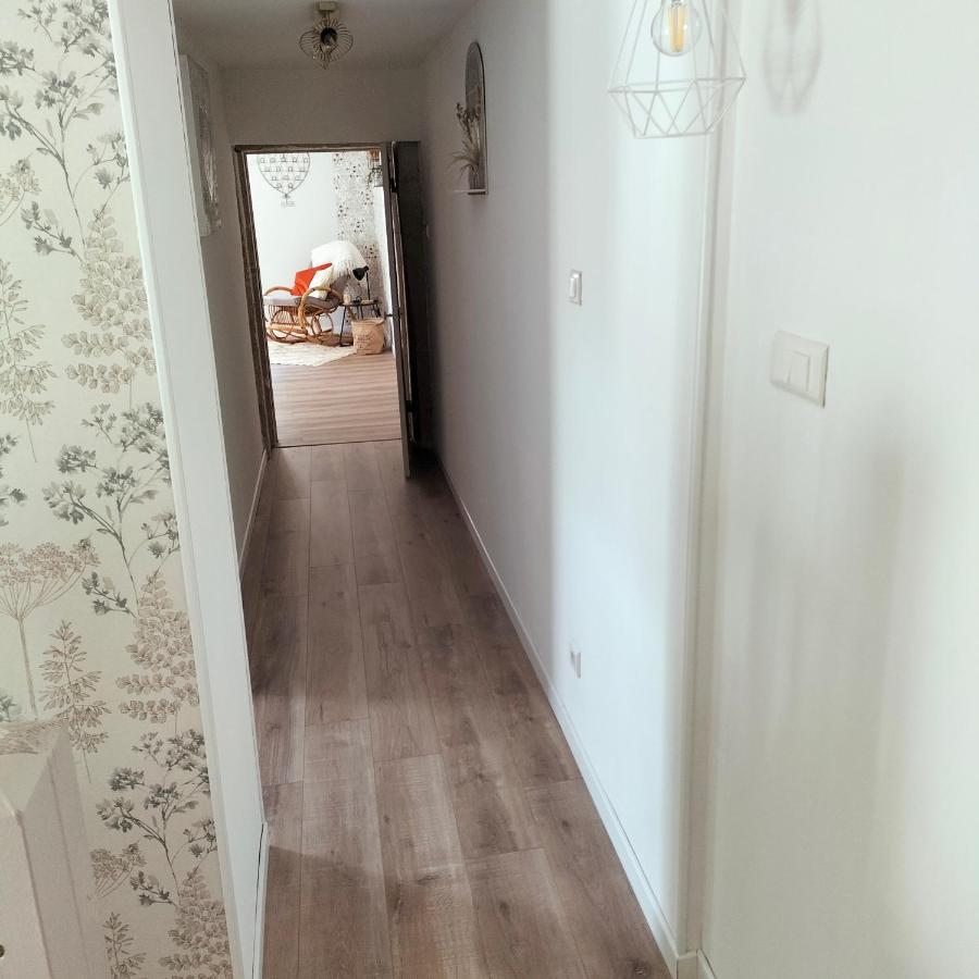 Gite Belle Fleur 6 Personnes- Vosges Saint-Nabord Zewnętrze zdjęcie